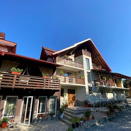 Vila Sorina Borşa Dış mekan fotoğraf