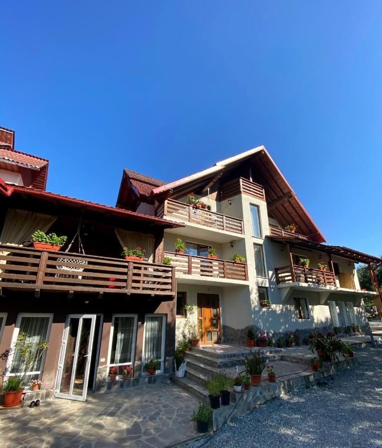 Vila Sorina Borşa Dış mekan fotoğraf