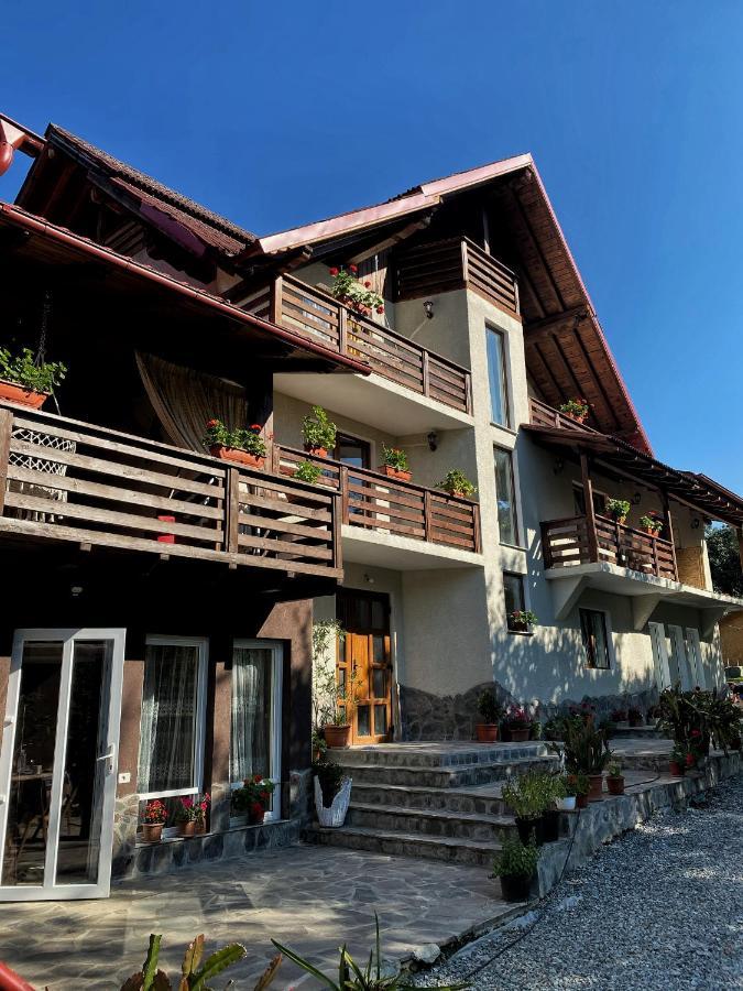 Vila Sorina Borşa Dış mekan fotoğraf