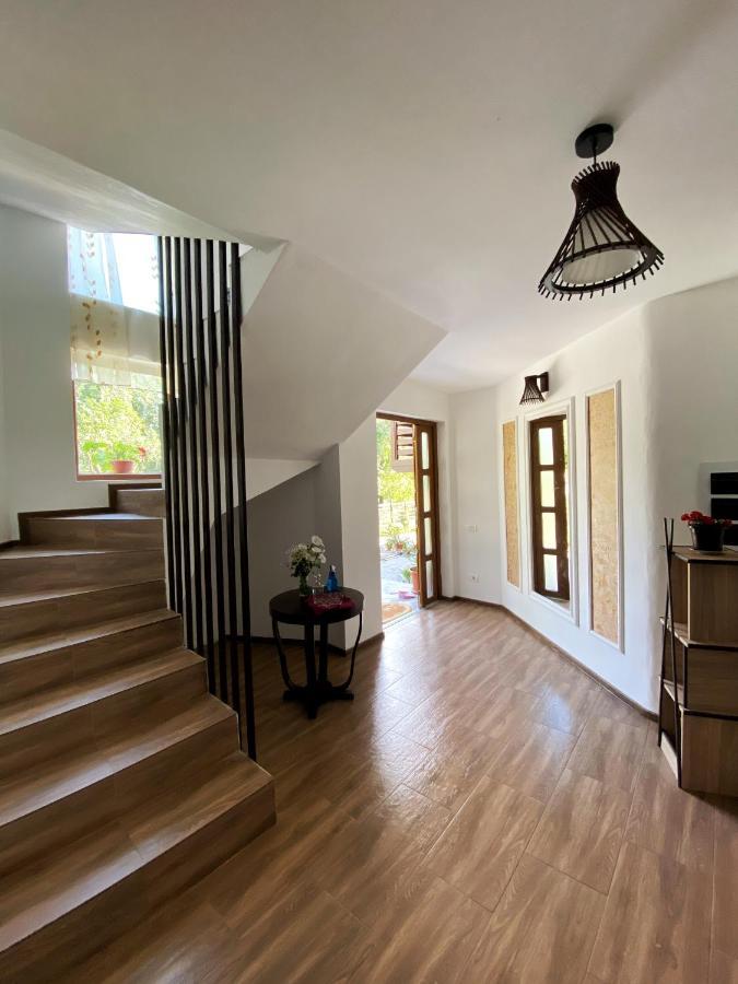 Vila Sorina Borşa Dış mekan fotoğraf