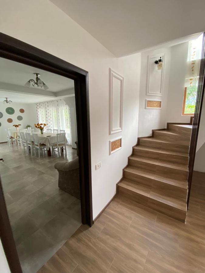 Vila Sorina Borşa Dış mekan fotoğraf