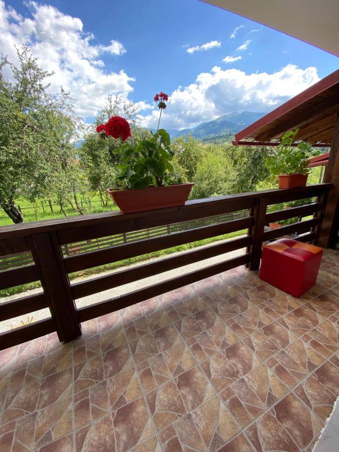 Vila Sorina Borşa Dış mekan fotoğraf