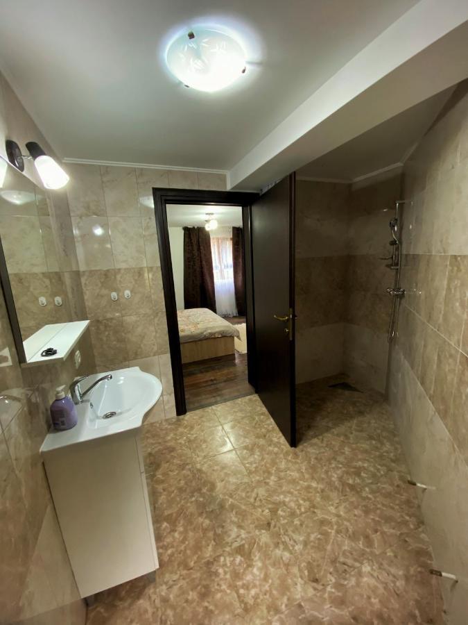 Vila Sorina Borşa Dış mekan fotoğraf