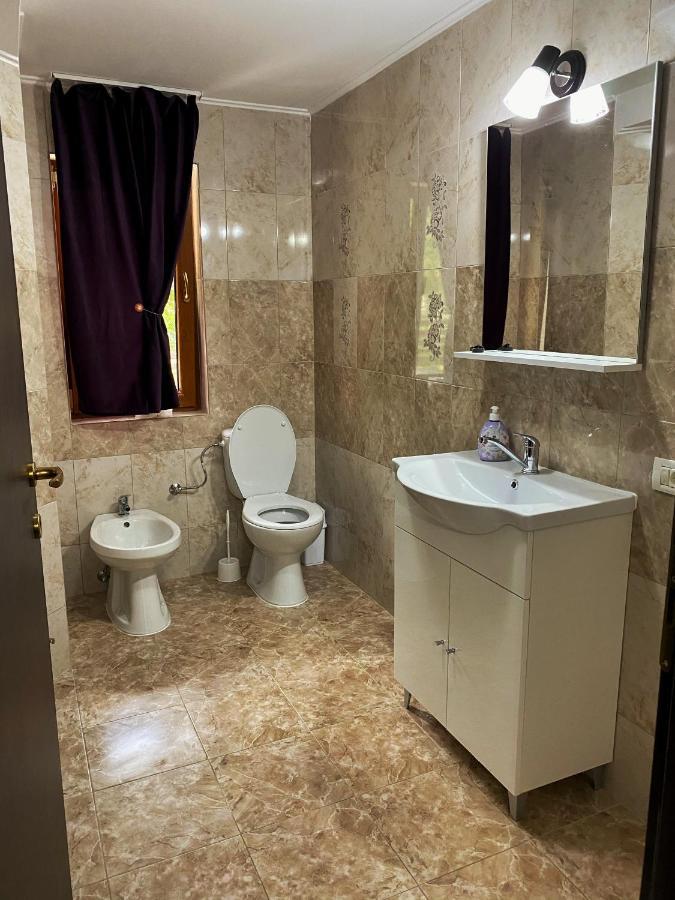 Vila Sorina Borşa Dış mekan fotoğraf