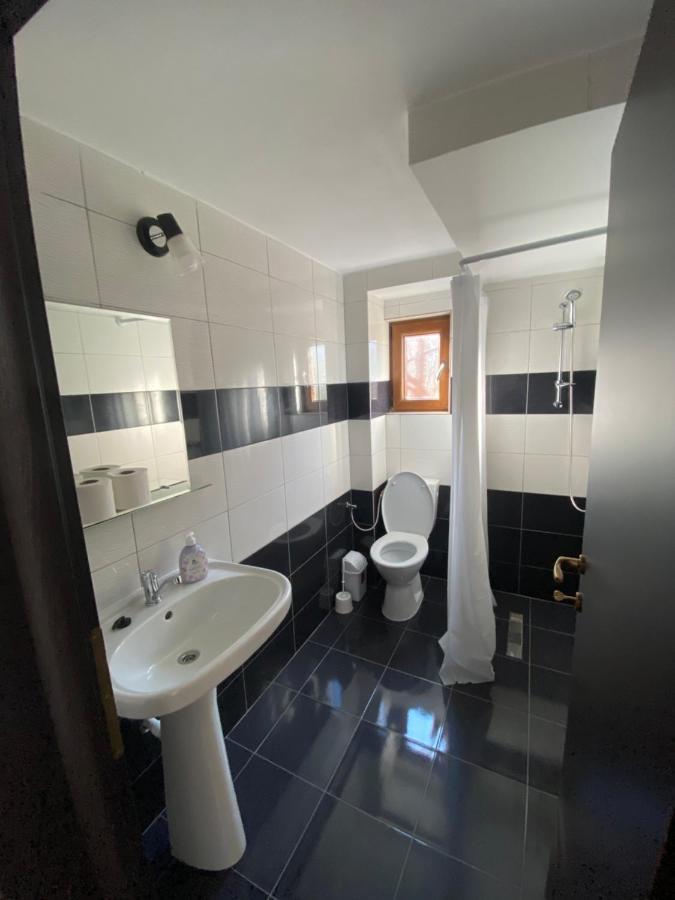 Vila Sorina Borşa Dış mekan fotoğraf