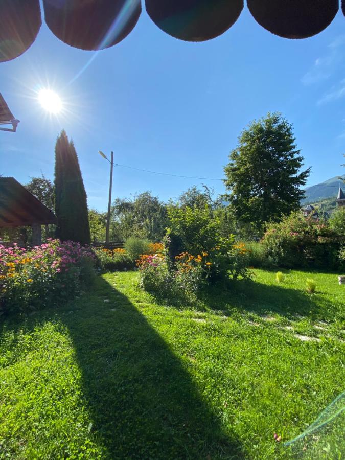 Vila Sorina Borşa Dış mekan fotoğraf