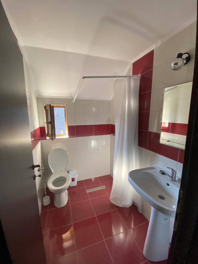 Vila Sorina Borşa Dış mekan fotoğraf