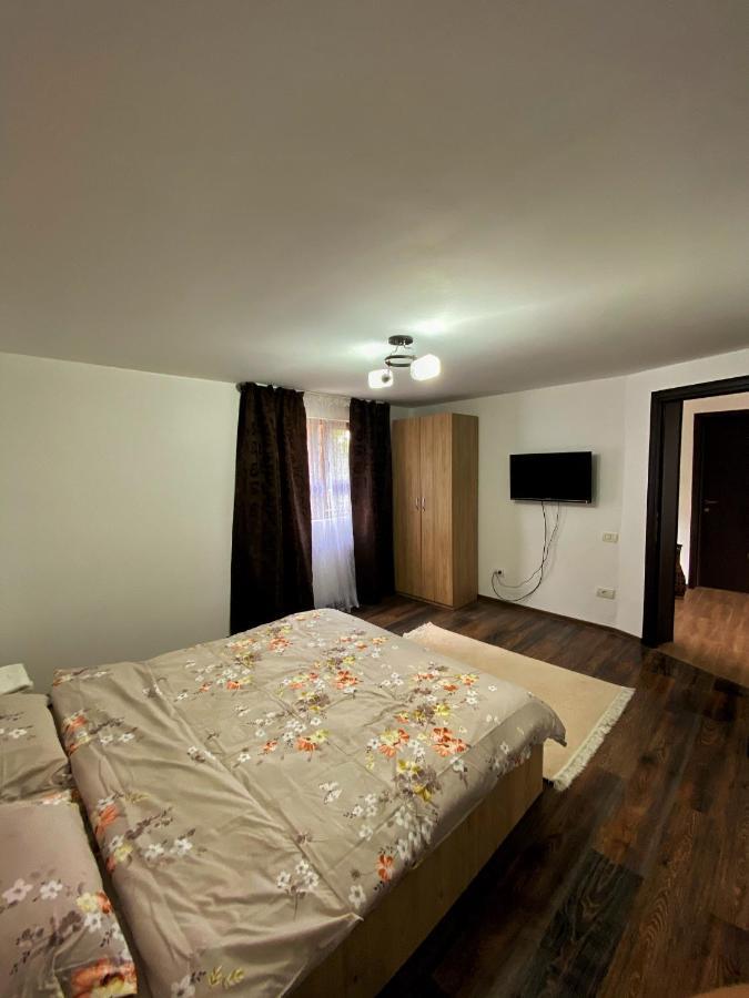 Vila Sorina Borşa Dış mekan fotoğraf