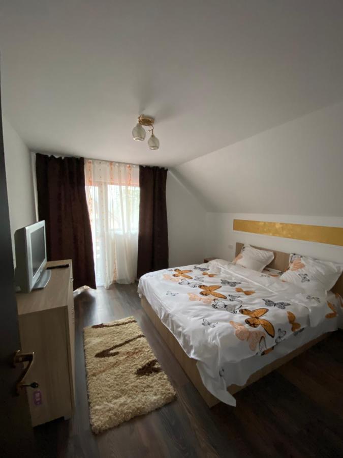 Vila Sorina Borşa Dış mekan fotoğraf
