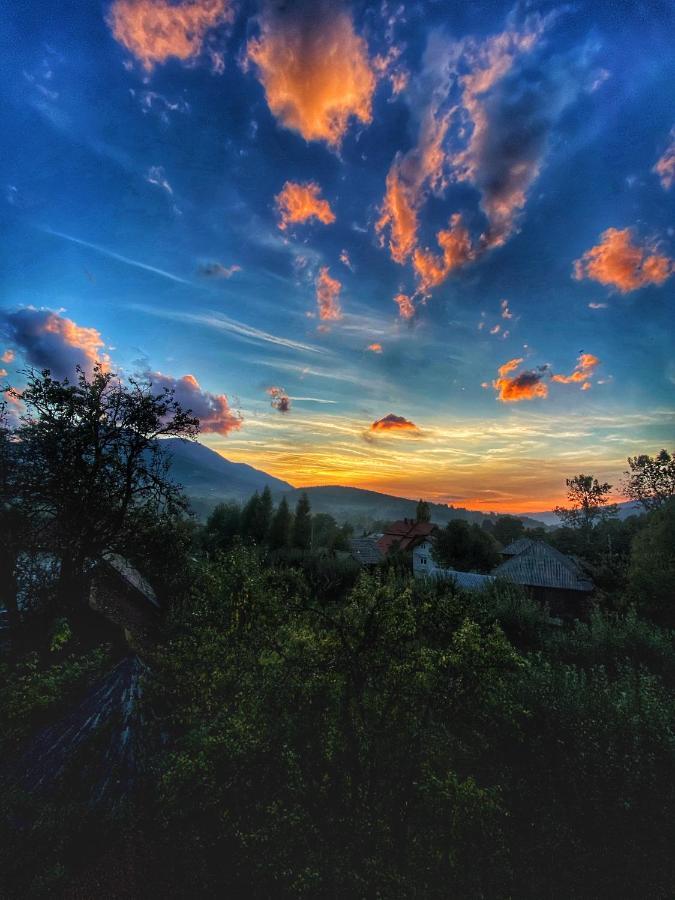 Vila Sorina Borşa Dış mekan fotoğraf