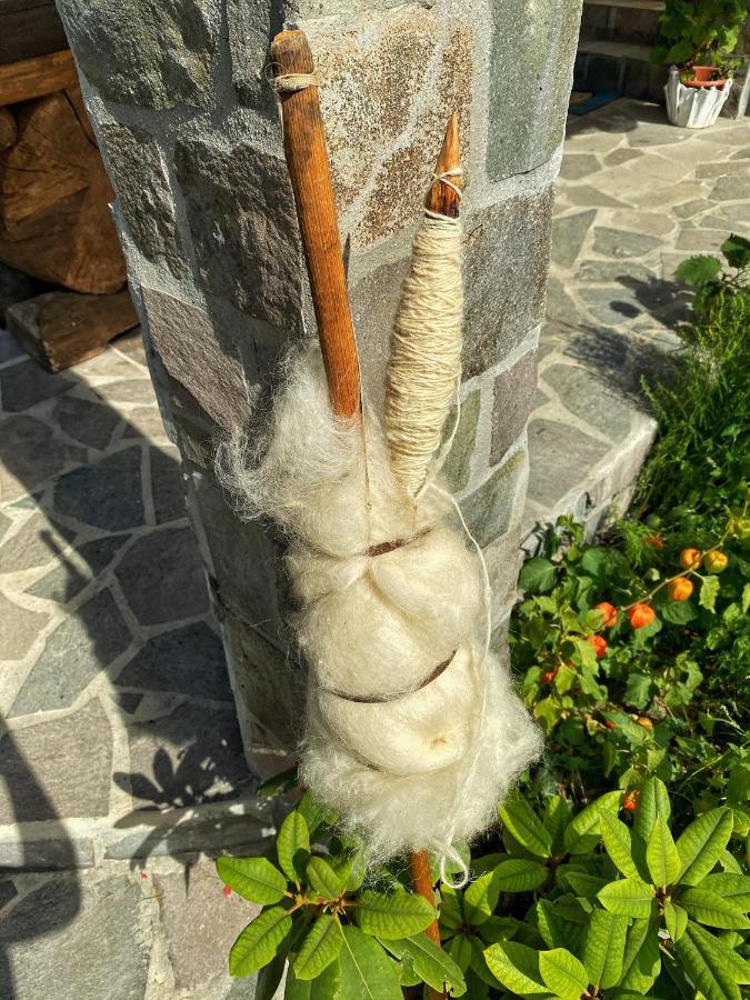 Vila Sorina Borşa Dış mekan fotoğraf