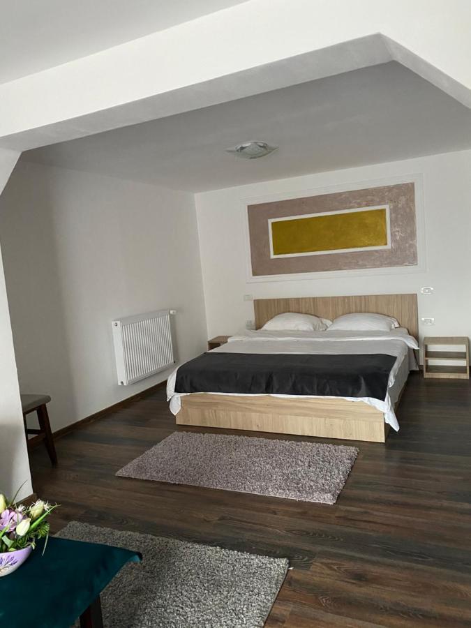Vila Sorina Borşa Dış mekan fotoğraf