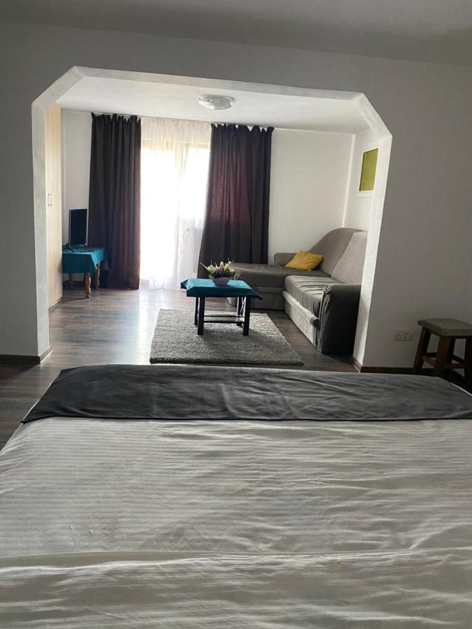 Vila Sorina Borşa Dış mekan fotoğraf
