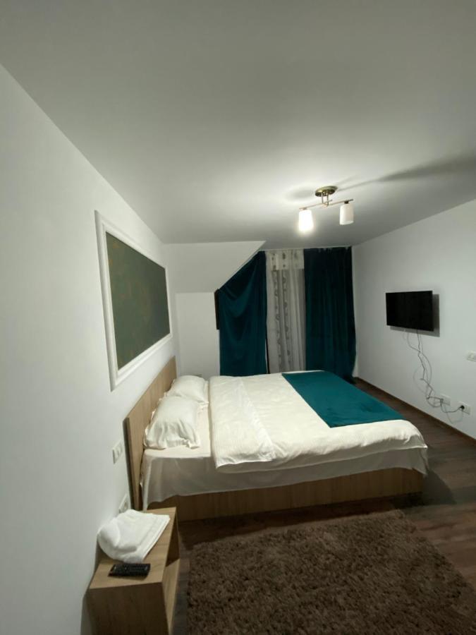 Vila Sorina Borşa Dış mekan fotoğraf