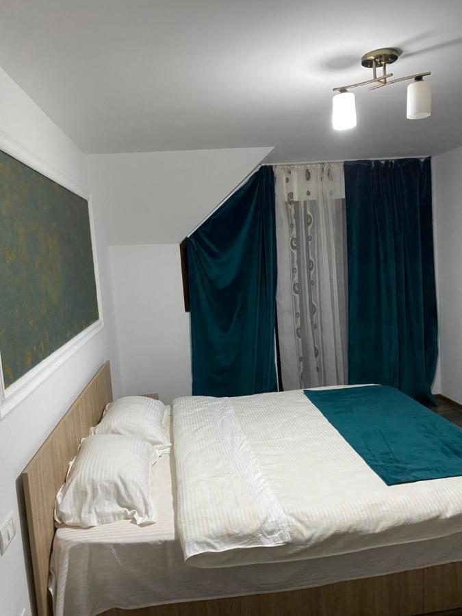 Vila Sorina Borşa Dış mekan fotoğraf