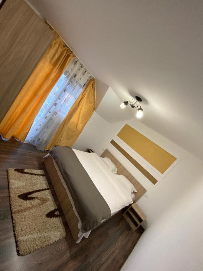 Vila Sorina Borşa Dış mekan fotoğraf