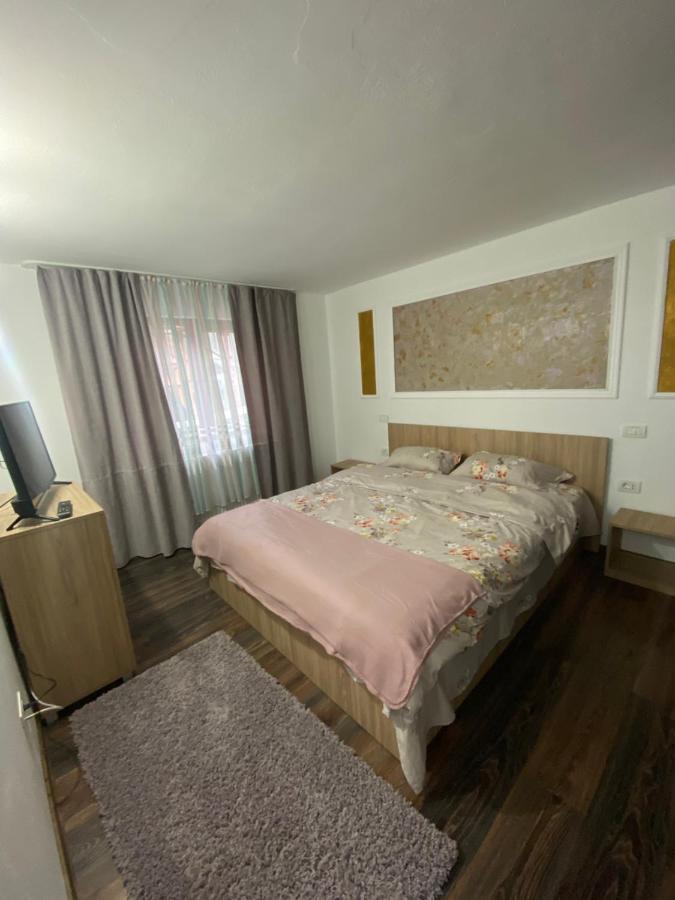 Vila Sorina Borşa Dış mekan fotoğraf