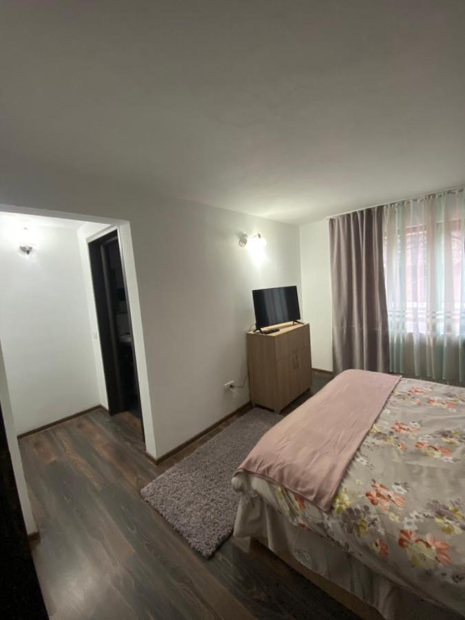 Vila Sorina Borşa Dış mekan fotoğraf