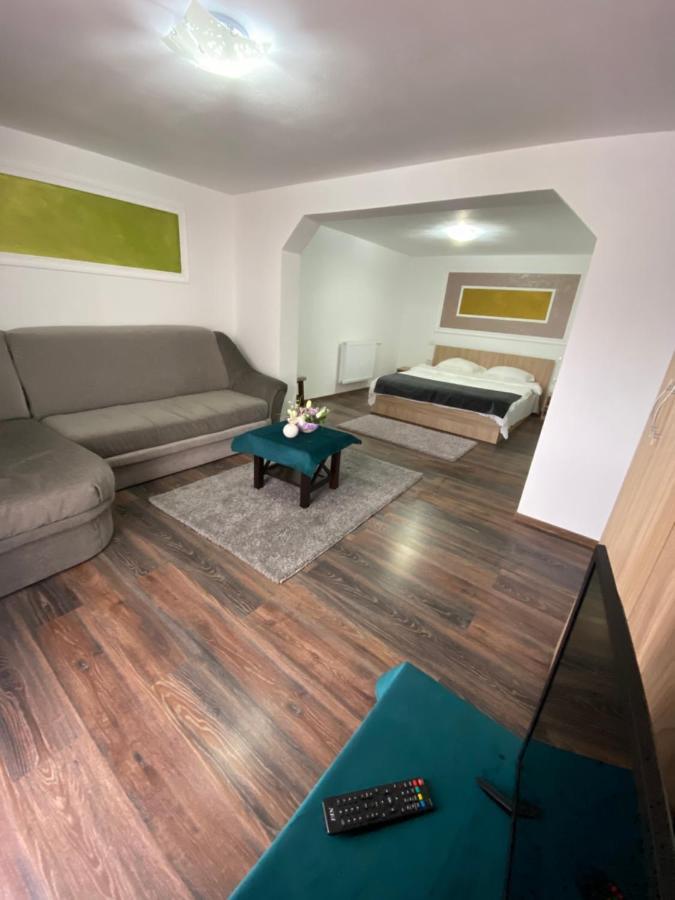 Vila Sorina Borşa Dış mekan fotoğraf