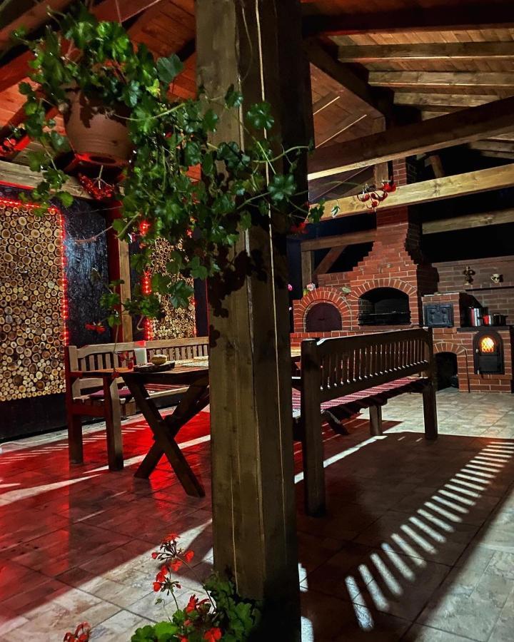 Vila Sorina Borşa Dış mekan fotoğraf