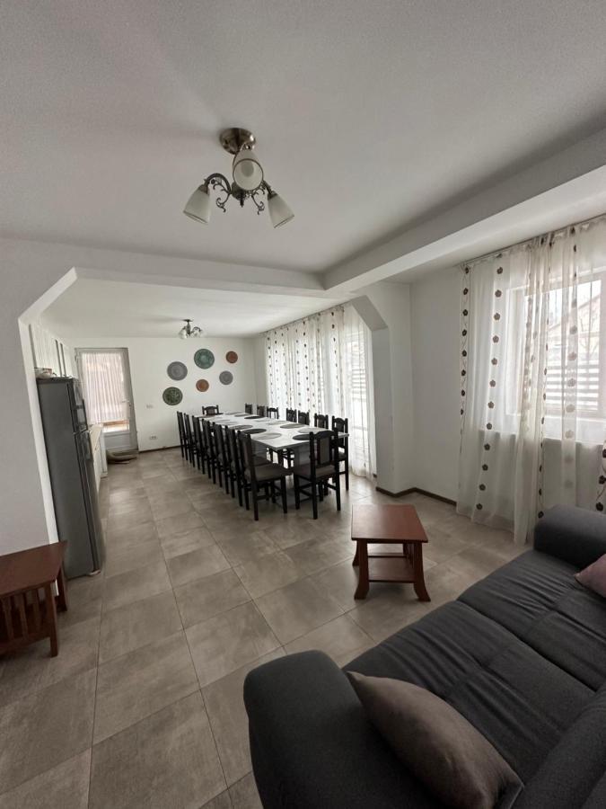 Vila Sorina Borşa Dış mekan fotoğraf