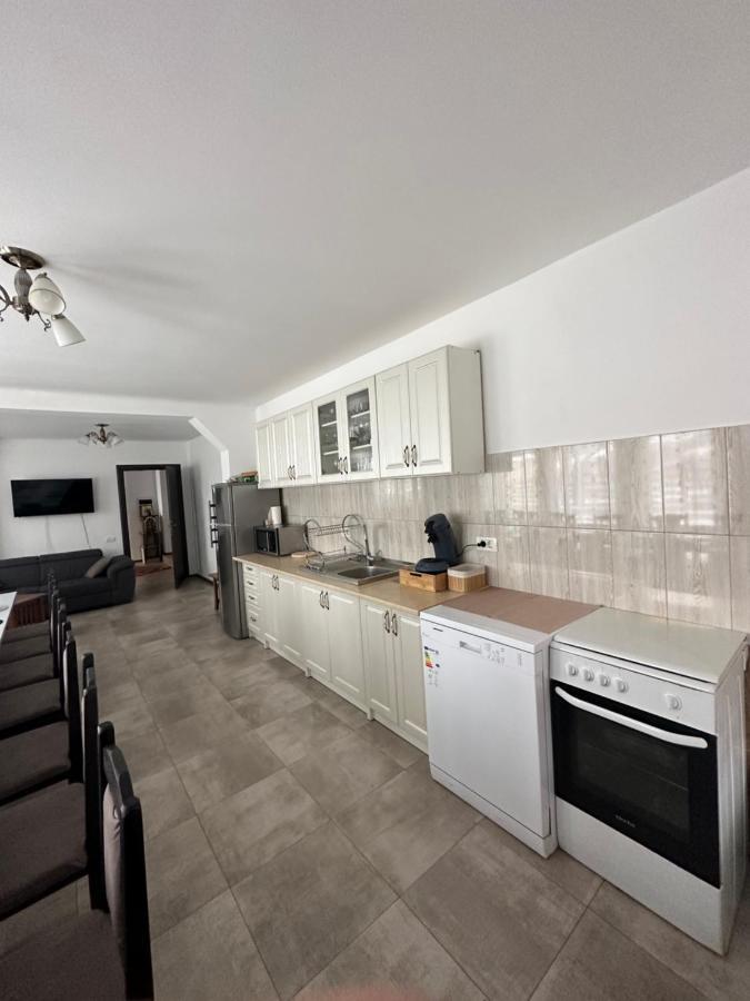 Vila Sorina Borşa Dış mekan fotoğraf